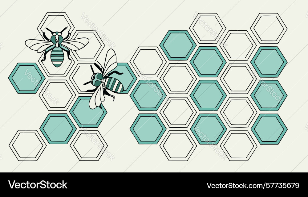 Two bees on teal hexagonal honeycomb pattern Vector Image