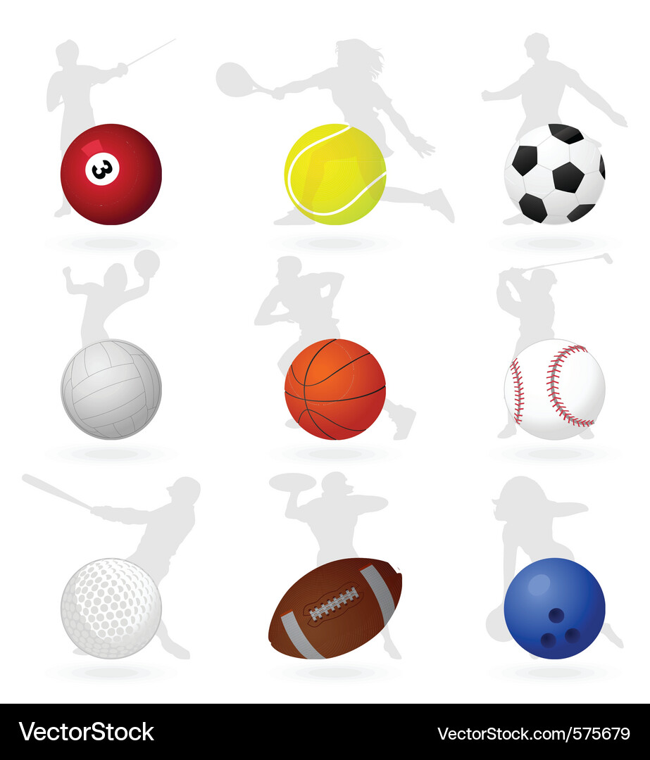 Various Sports Balls Vector Image