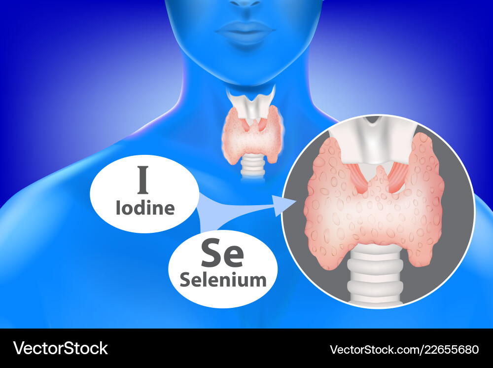Selenium and iodine Selenium and iodine vector image