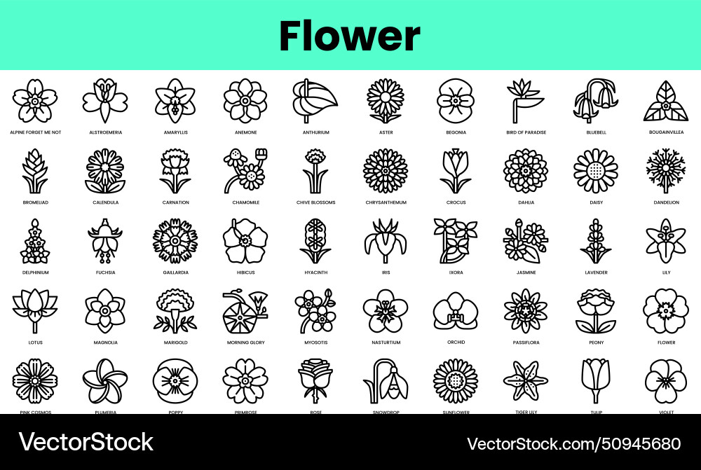 Set of flower icons linear style icon bundle Set of flower icons linear style icon bundle vector image