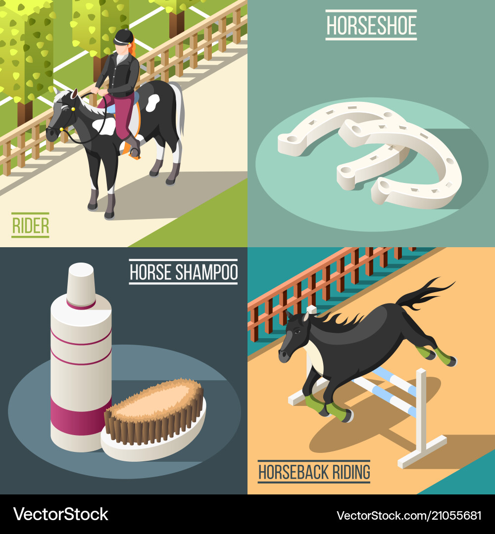 Equestrian sport 2x2 design concept vector image