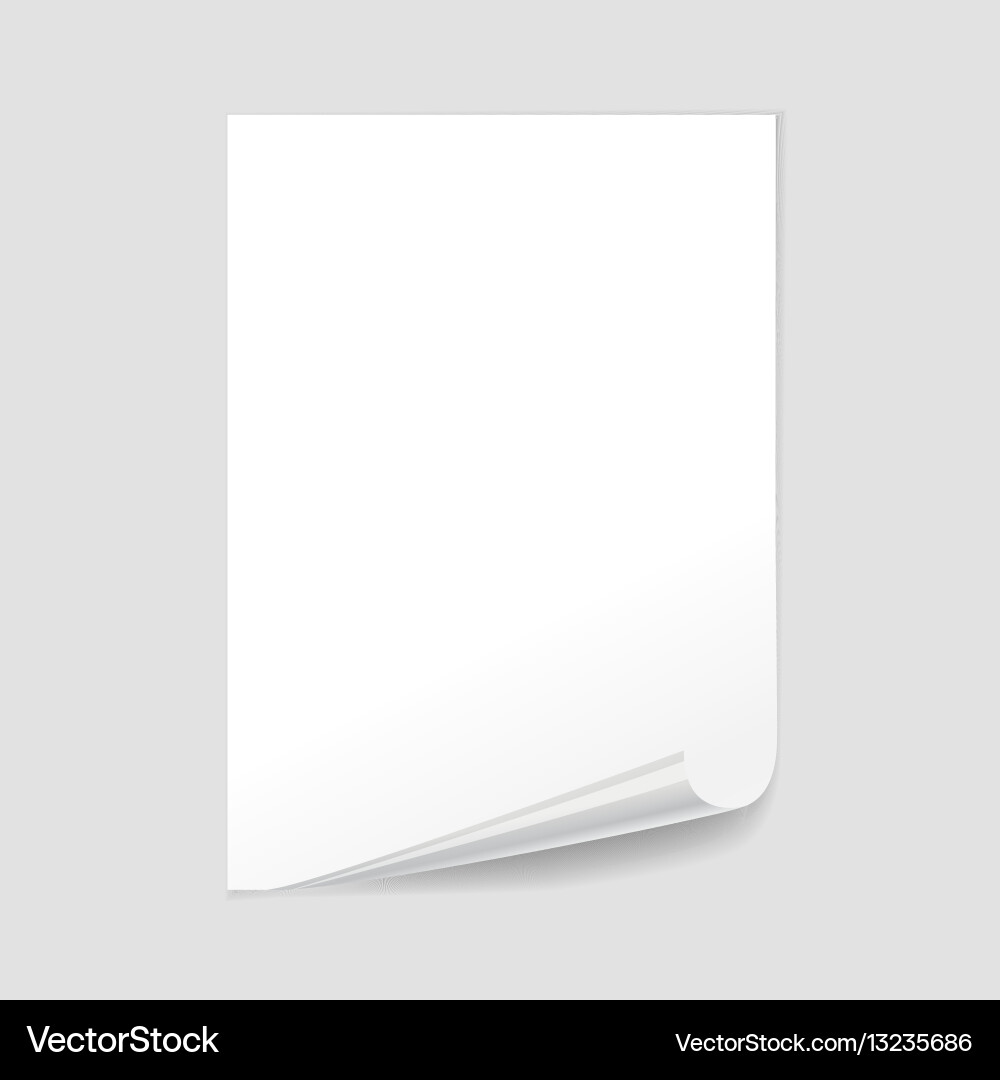 Blank Paper Sheet with Curl vector image