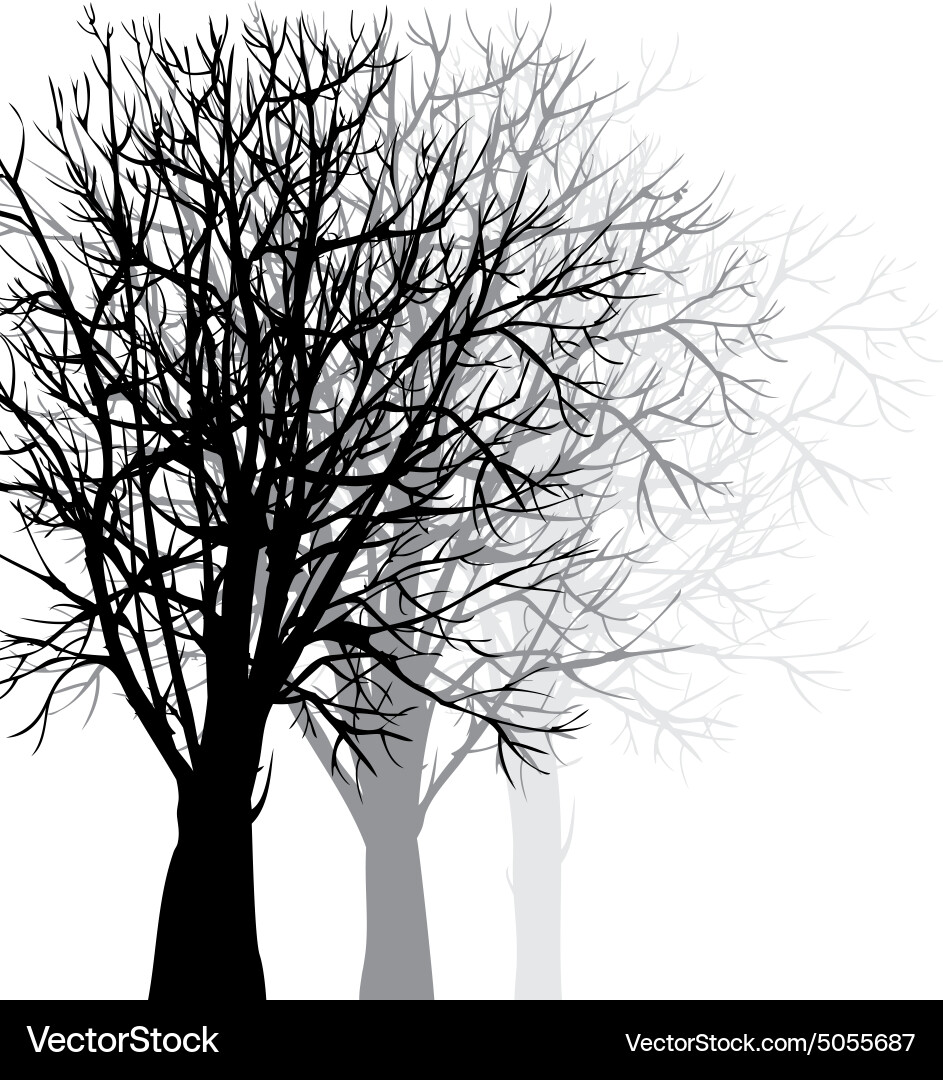 Background with trees Vector Image