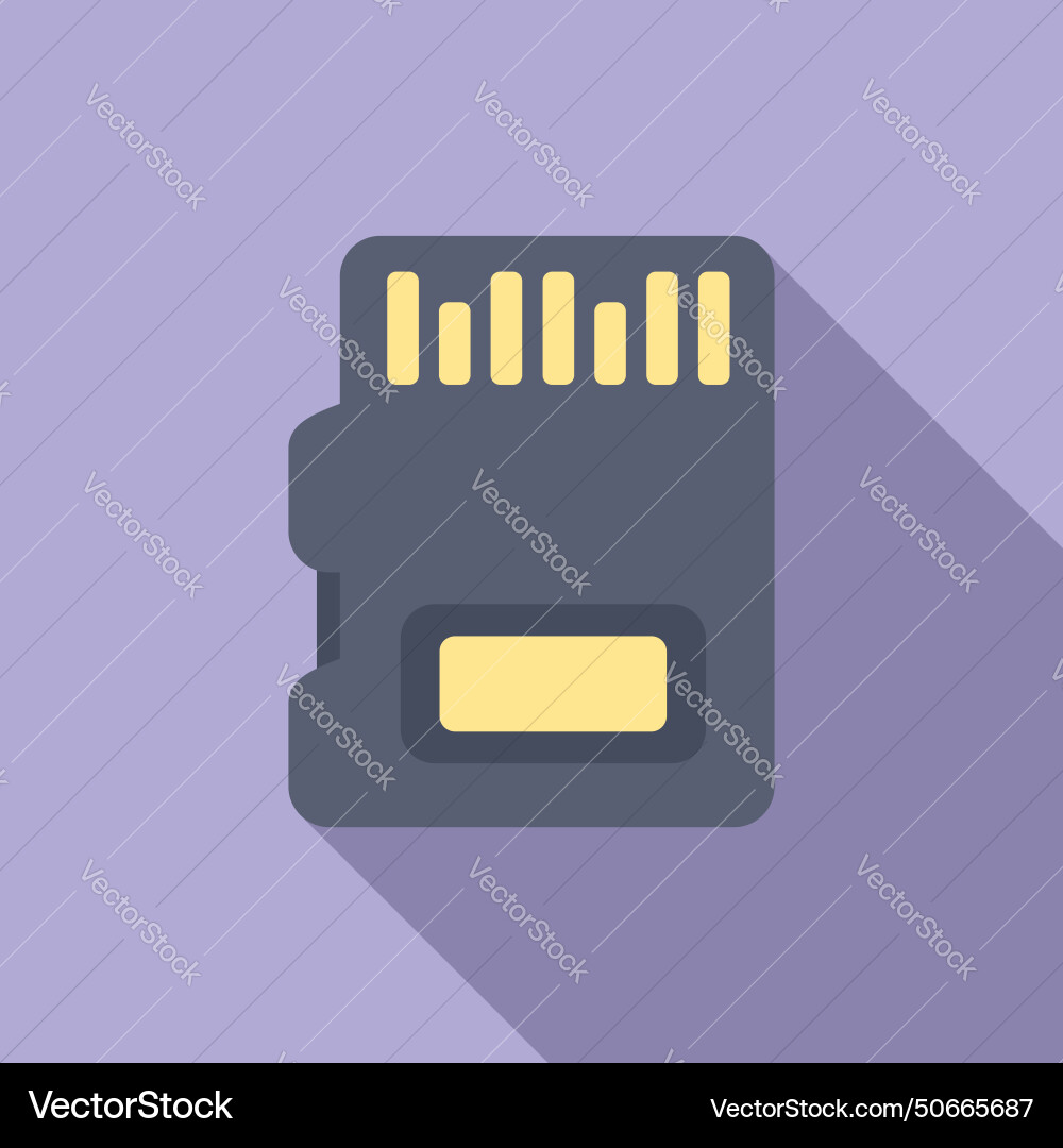 Micro sd storage icon flat digital Royalty Free Vector Image