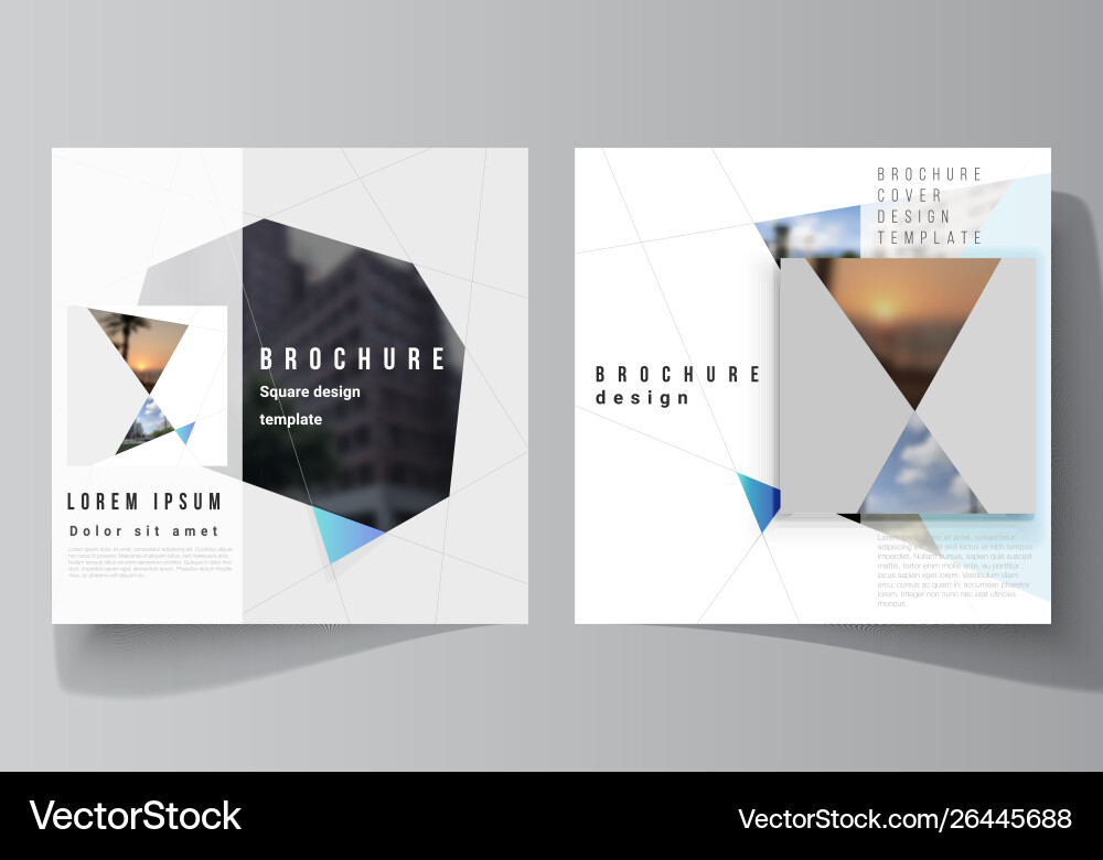 Minimal layout two square format Minimal layout two square format vector image
