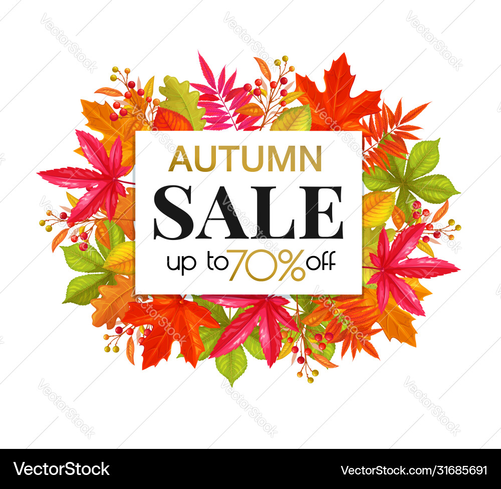 Autumn sale banner Autumn sale banner vector image