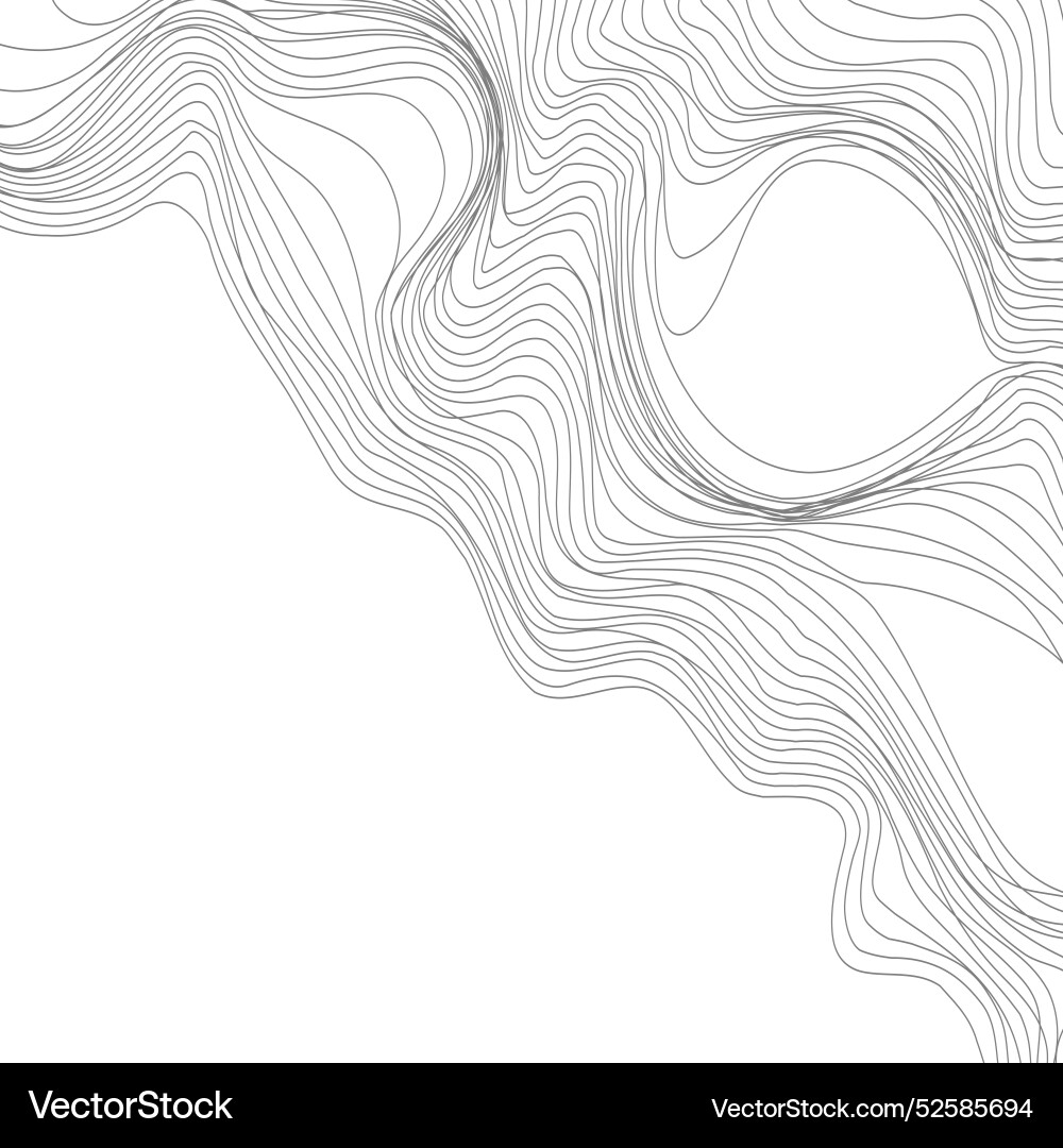 Abstract background of curved lines the pattern vector image