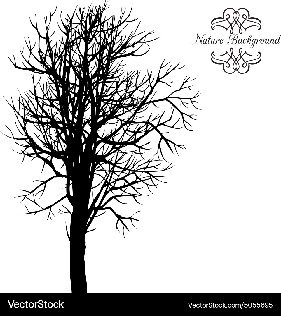 Background with trees Vector Image