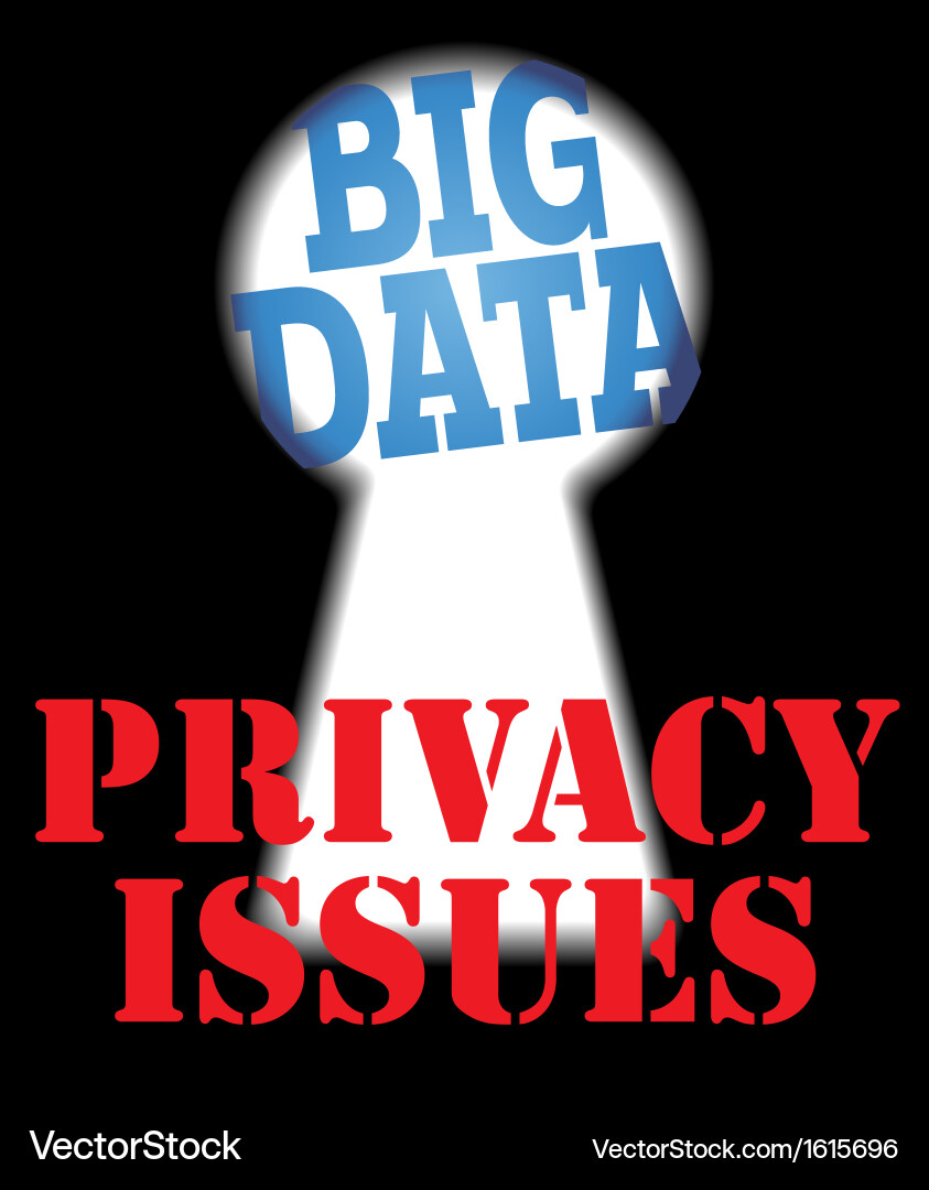 Big data privacy security it issues vector image