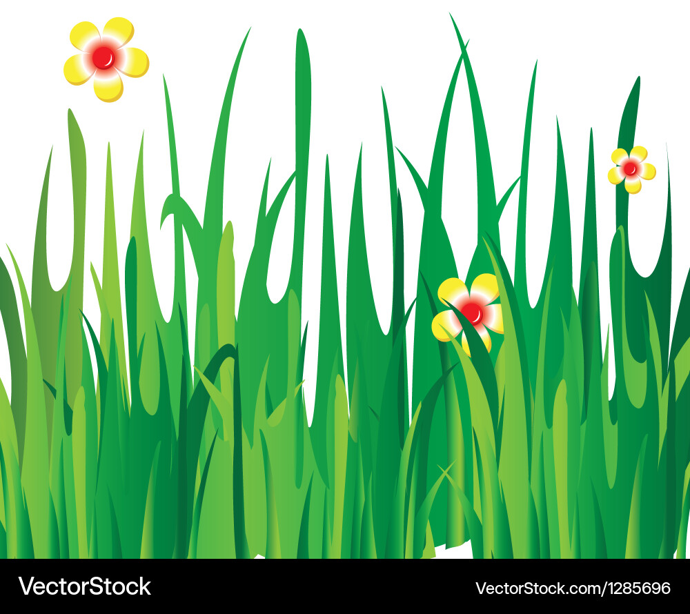 Green grass Royalty Free Vector Image - VectorStock