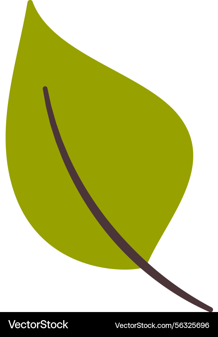Green leaf hand drawn element Royalty Free Vector Image