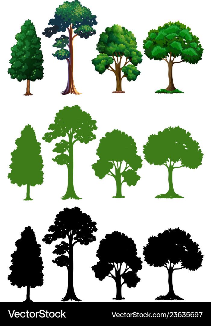 Set of different tree vector image