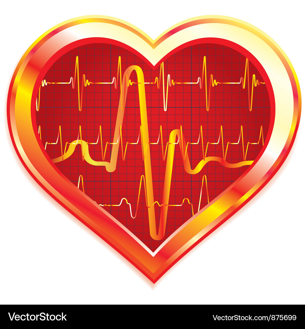 Heartbeat Pulse Diagram Vector Image