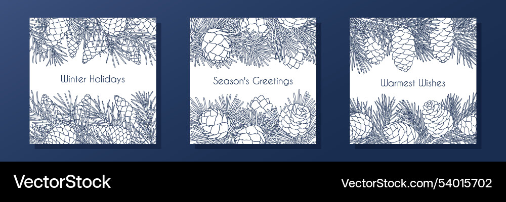 Set of compositions with coniferous branches vector image