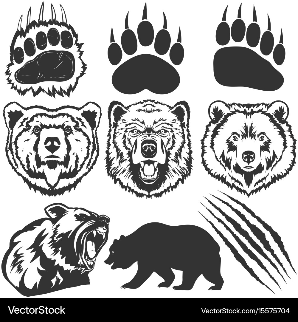 31-821-bear-paw-print-royalty-free-images-stock-photos-pictures-shutterstock