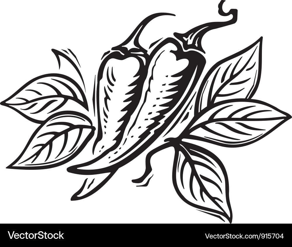 Pepper Engraving Vector Image