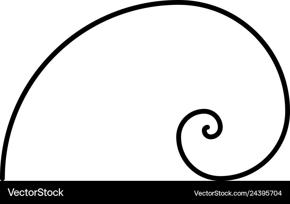 Simple fibonacci spiral without auxiliary geometry vector image