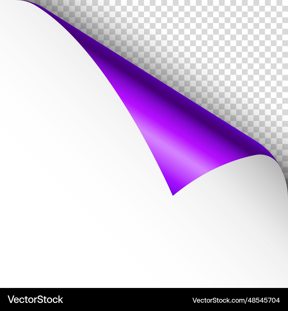 Violet paper curl curled page corner with shadow Violet paper curl curled page corner with shadow vector image