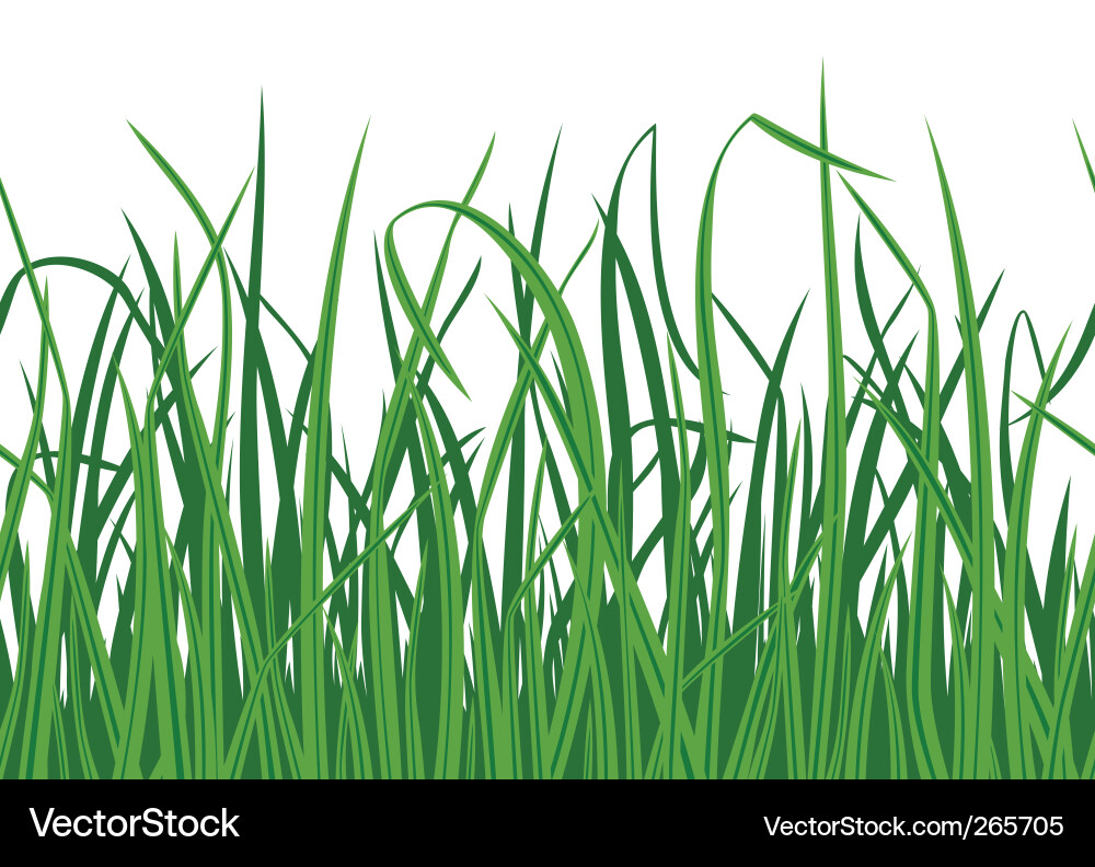 Green Grass Background Vector Image