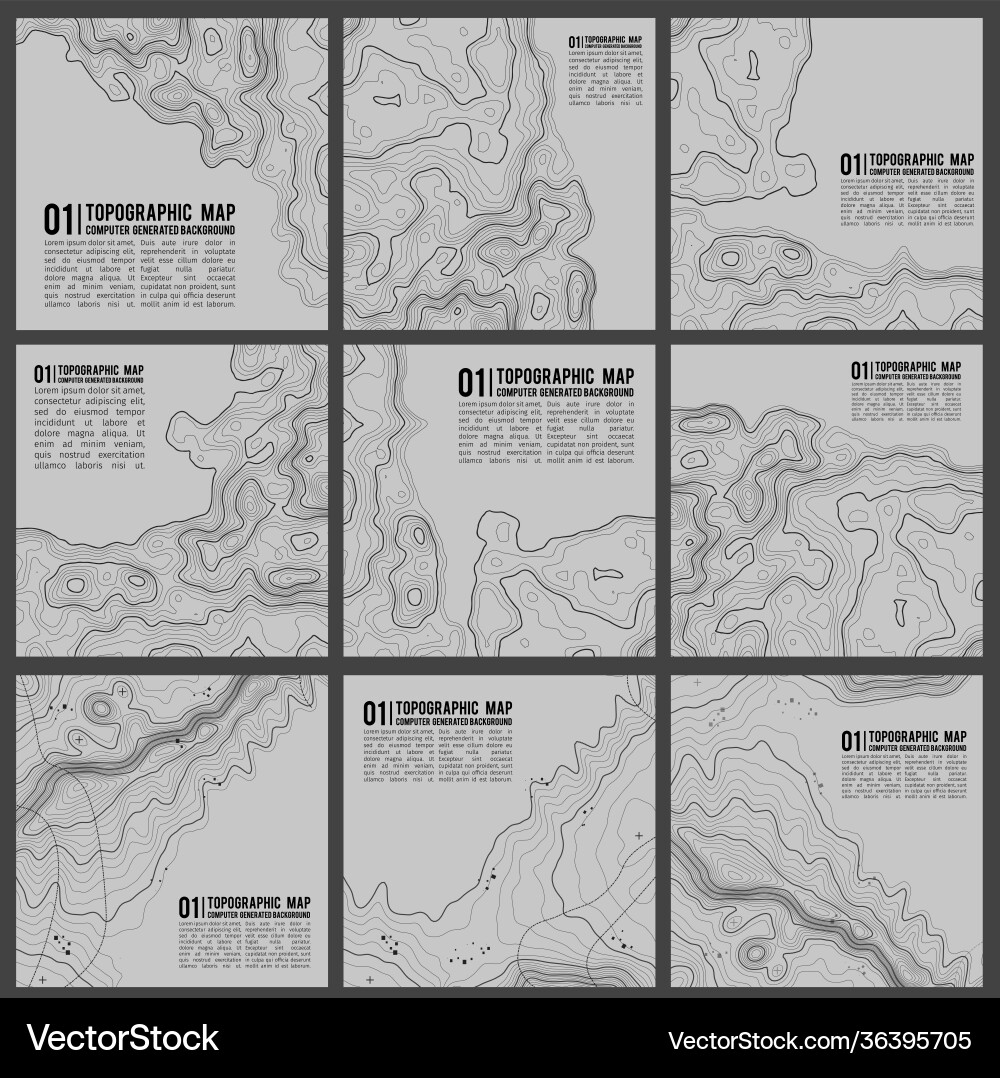 Grey Topographic Contours Vector Image
