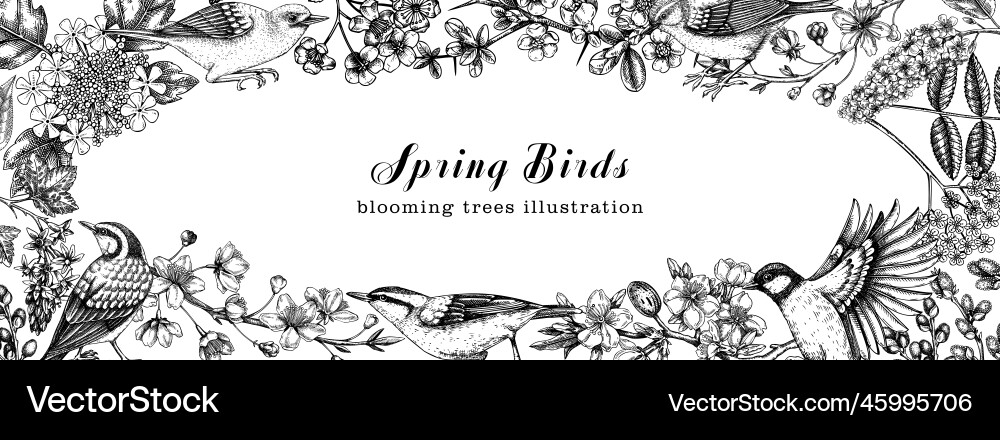 Flowering trees with birds banner vintage frame Flowering trees with birds banner vintage frame vector image