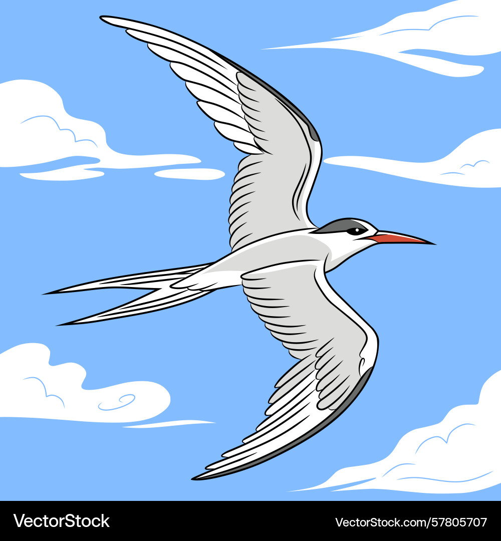 Stylized image of seabird in flight style Stylized image of seabird in flight style Vector Image