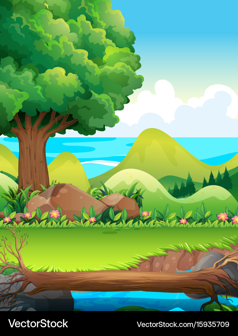 Scene with trees in the field vector image