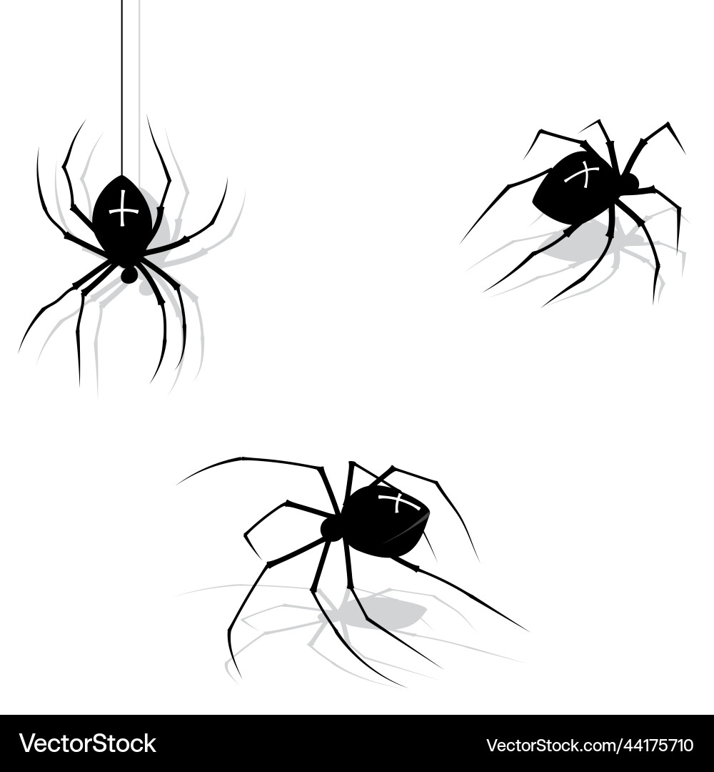 Spider web texture background Spider web texture background vector image