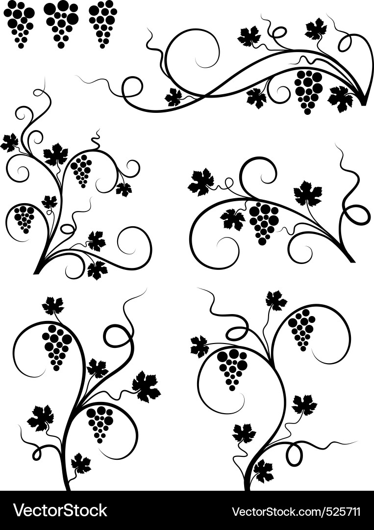 Grape Vine Swirls Vector Image
