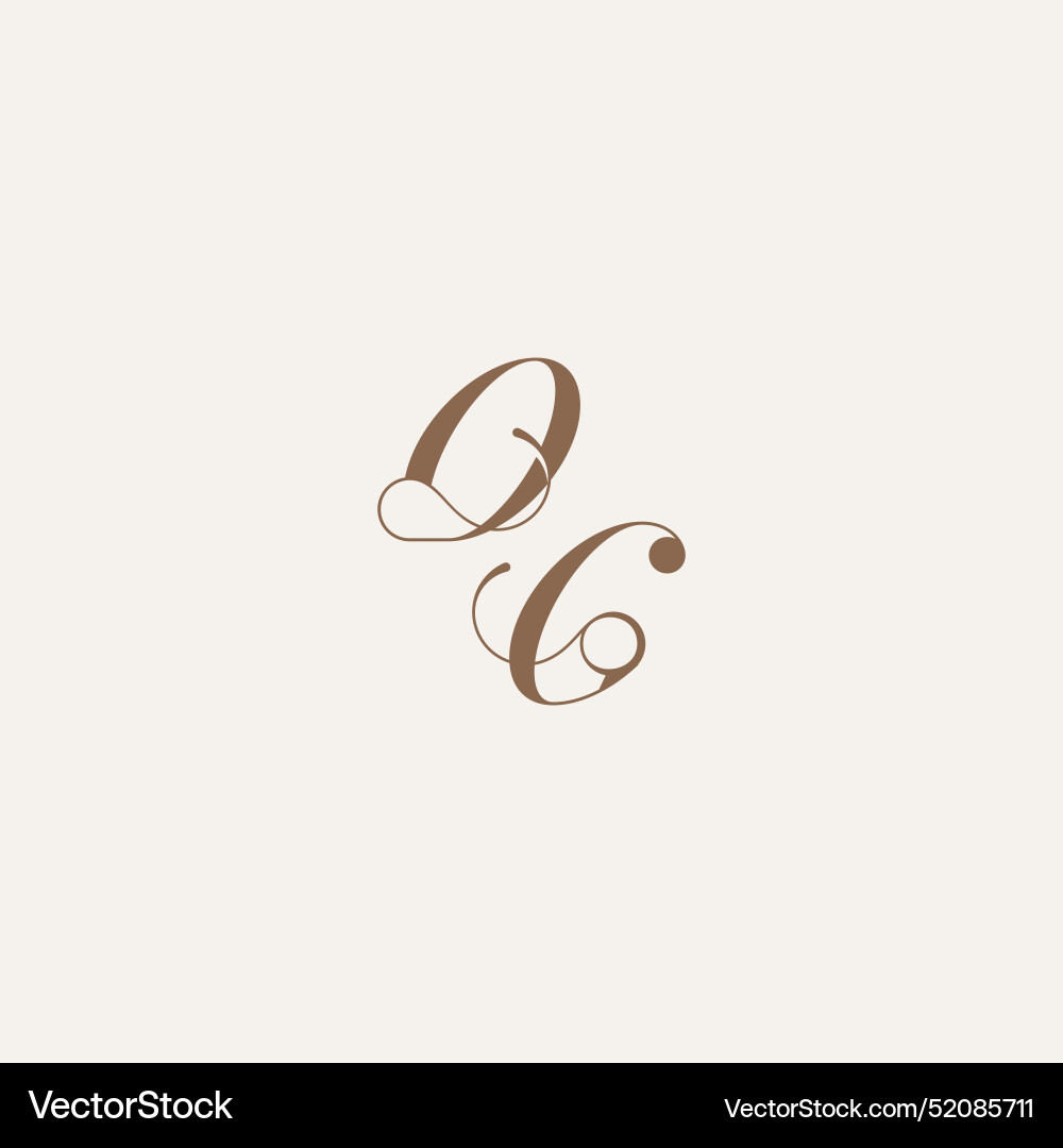 Initial monogram logo wedding concept design Vector Image