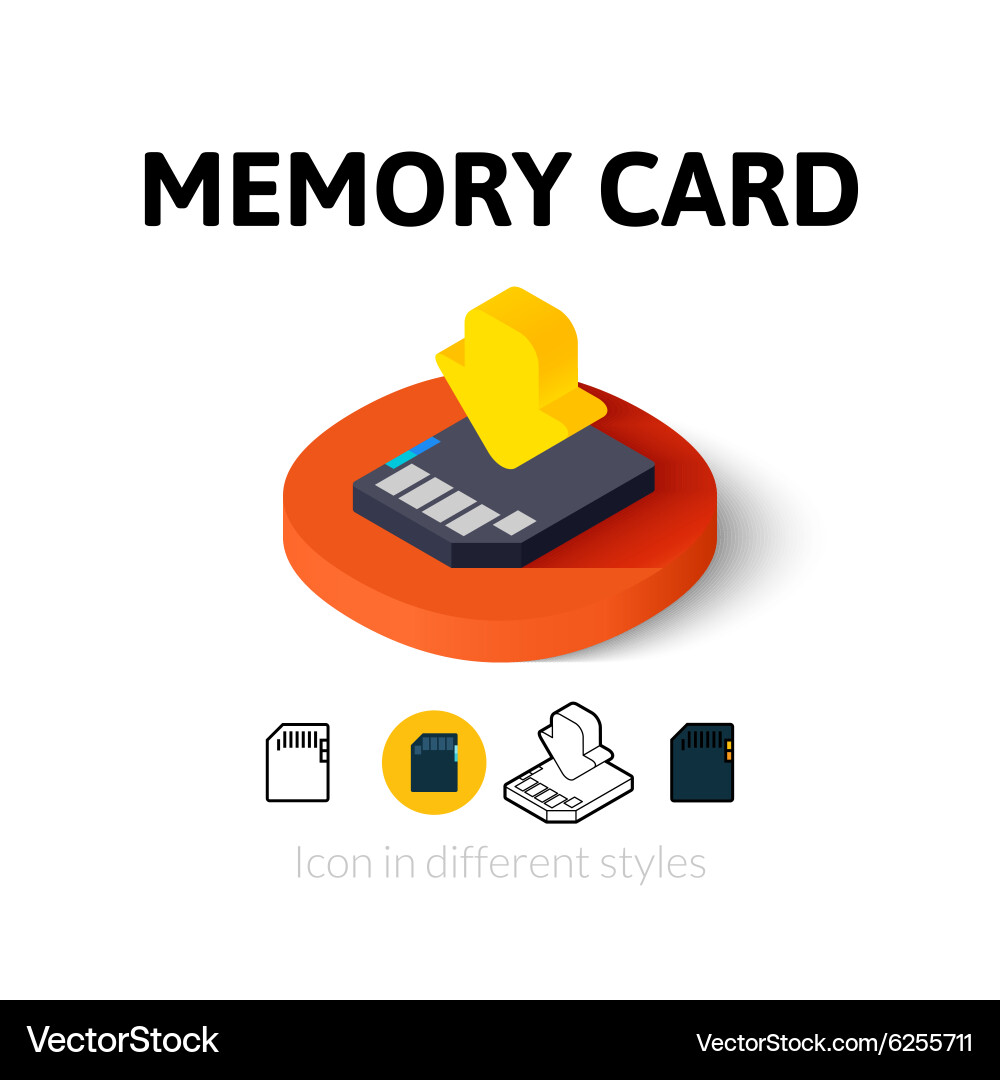 Memory card icon in different style vector image