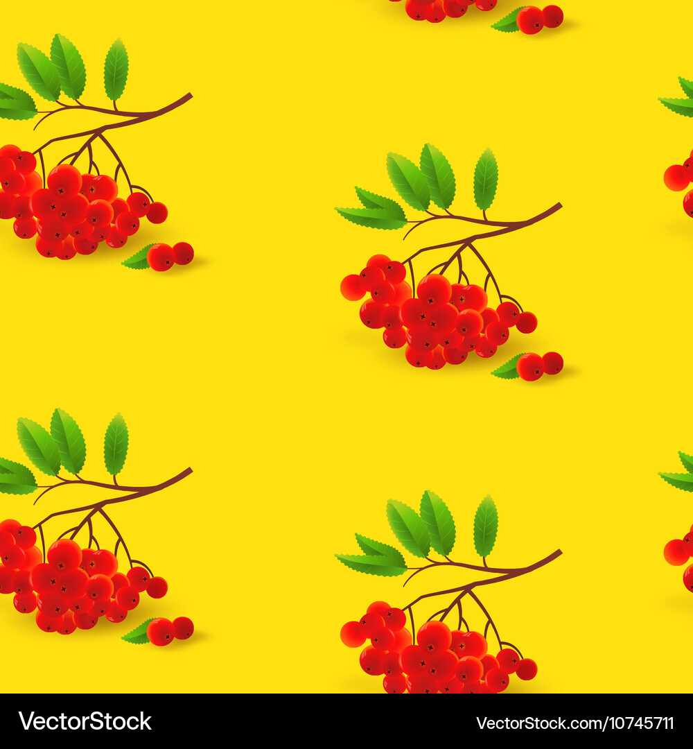 Seamless pattern with rowan autumn background Vector Image