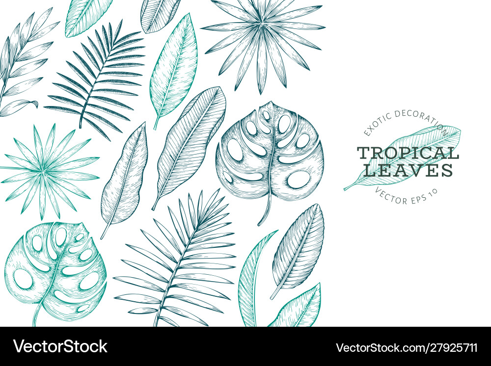 Tropical plants banner design hand drawn Tropical plants banner design hand drawn vector image