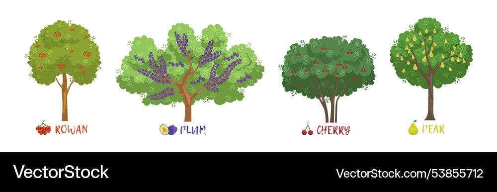 Different fruit trees sorts with names set Different fruit trees sorts with names set vector image