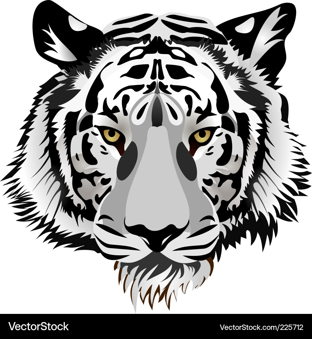 Tiger head vector image