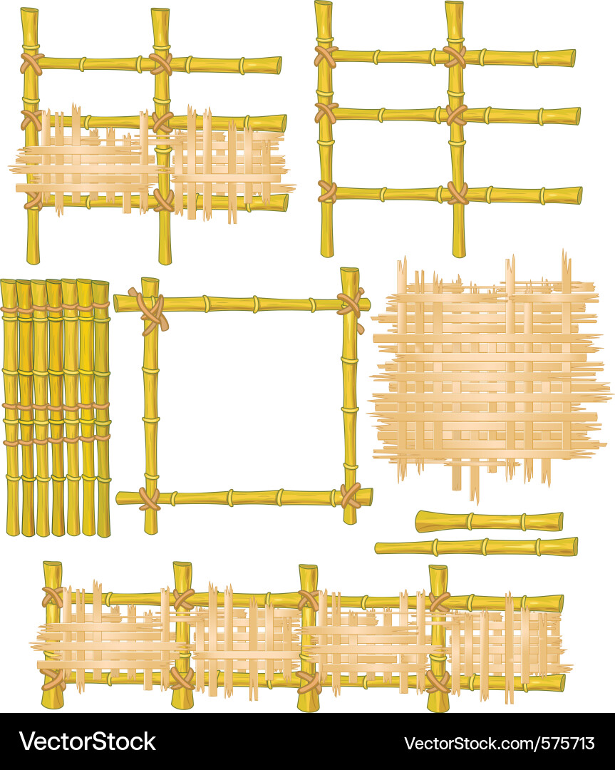 Bamboo Patterns and Elements vector image