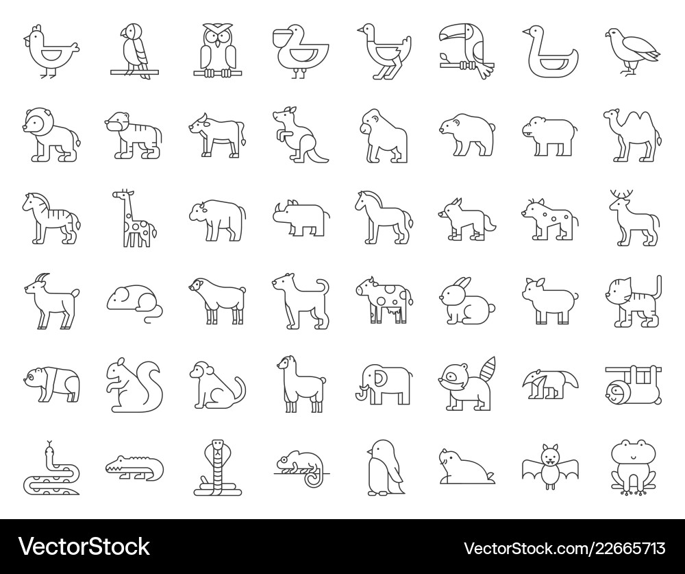 Big set of safari arctic forest zoo animal Big set of safari arctic forest zoo animal vector image