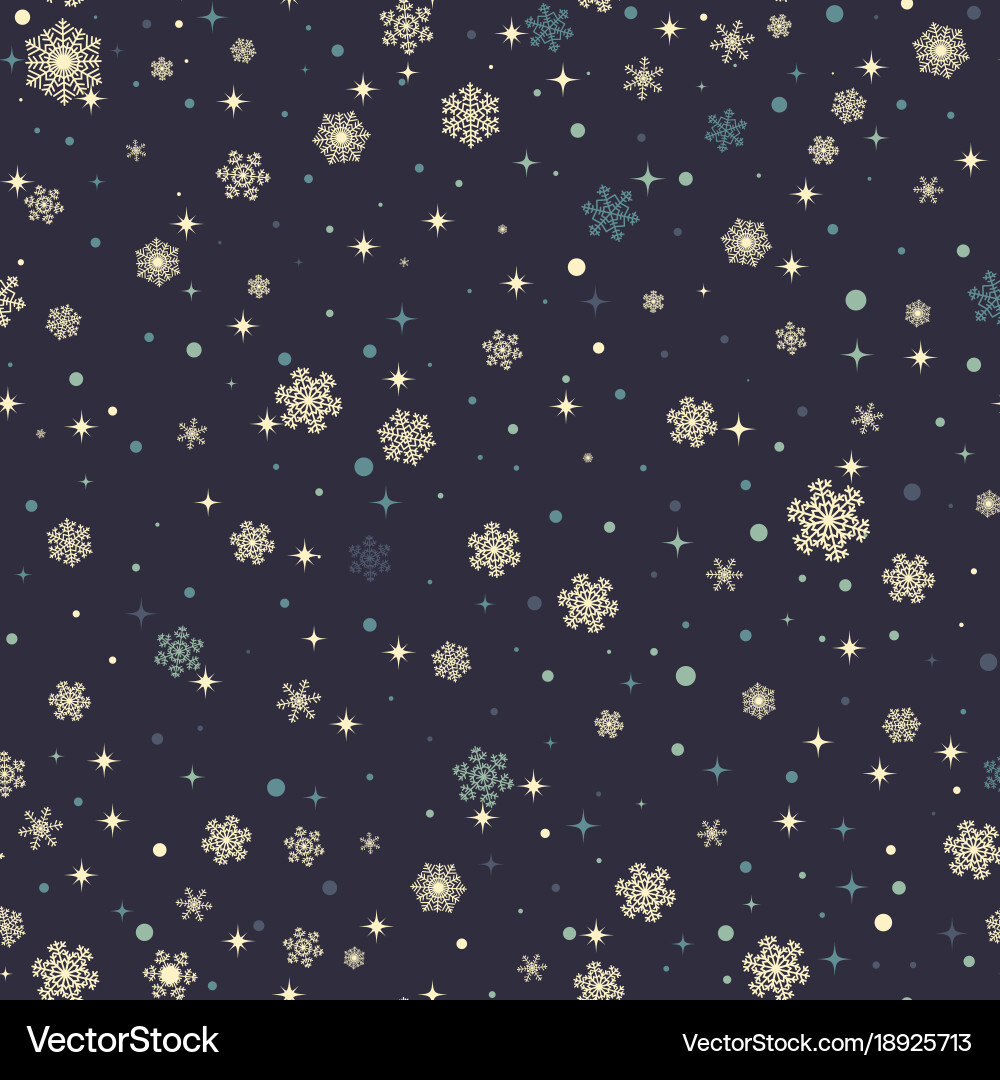 Winter Snowflake Pattern vector image