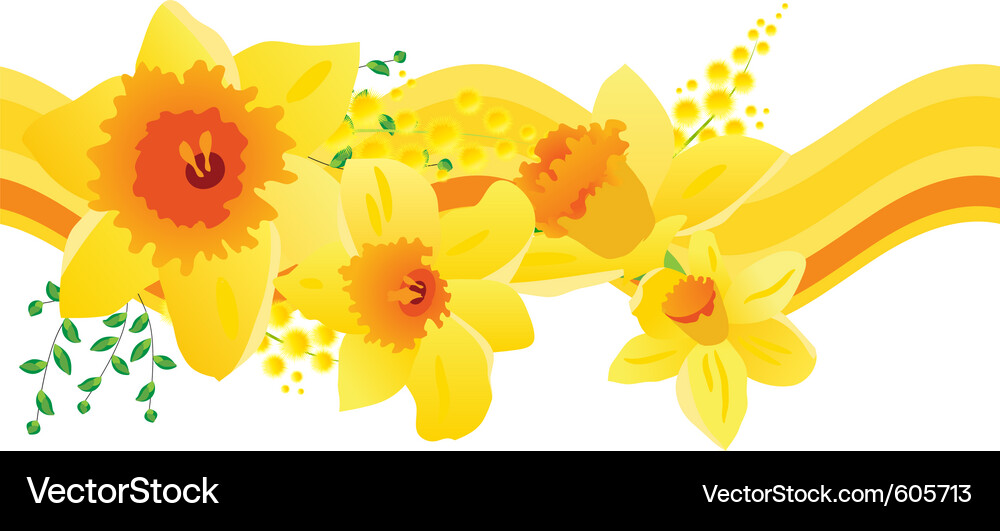 Yellow Daffodil Pattern Vector Image