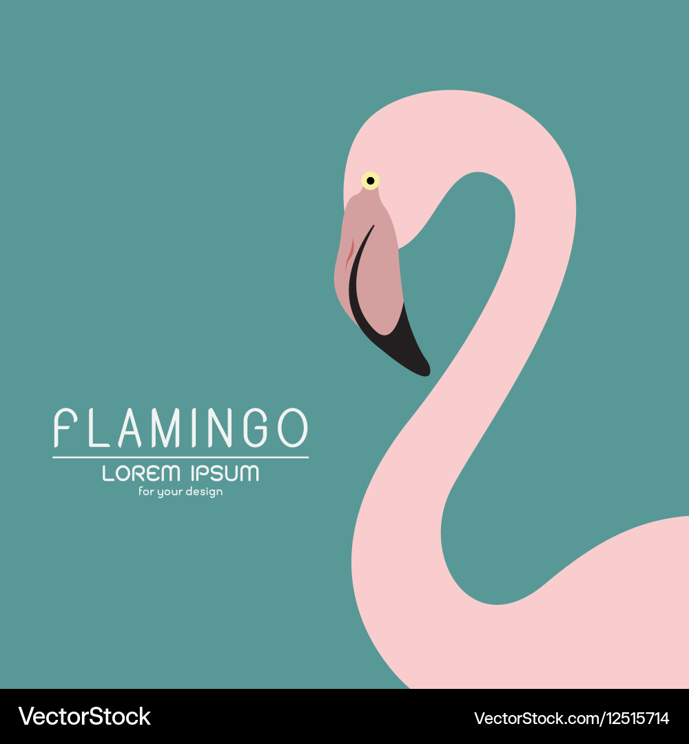 Elegantes Flamingo Portrait Vektorbild