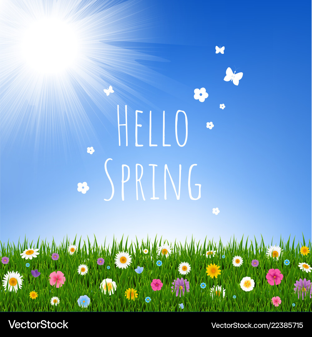 Hello spring background Royalty Free Vector Image