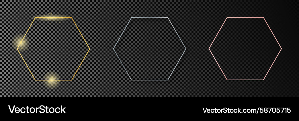 Set of three hexagon frames Vector Image