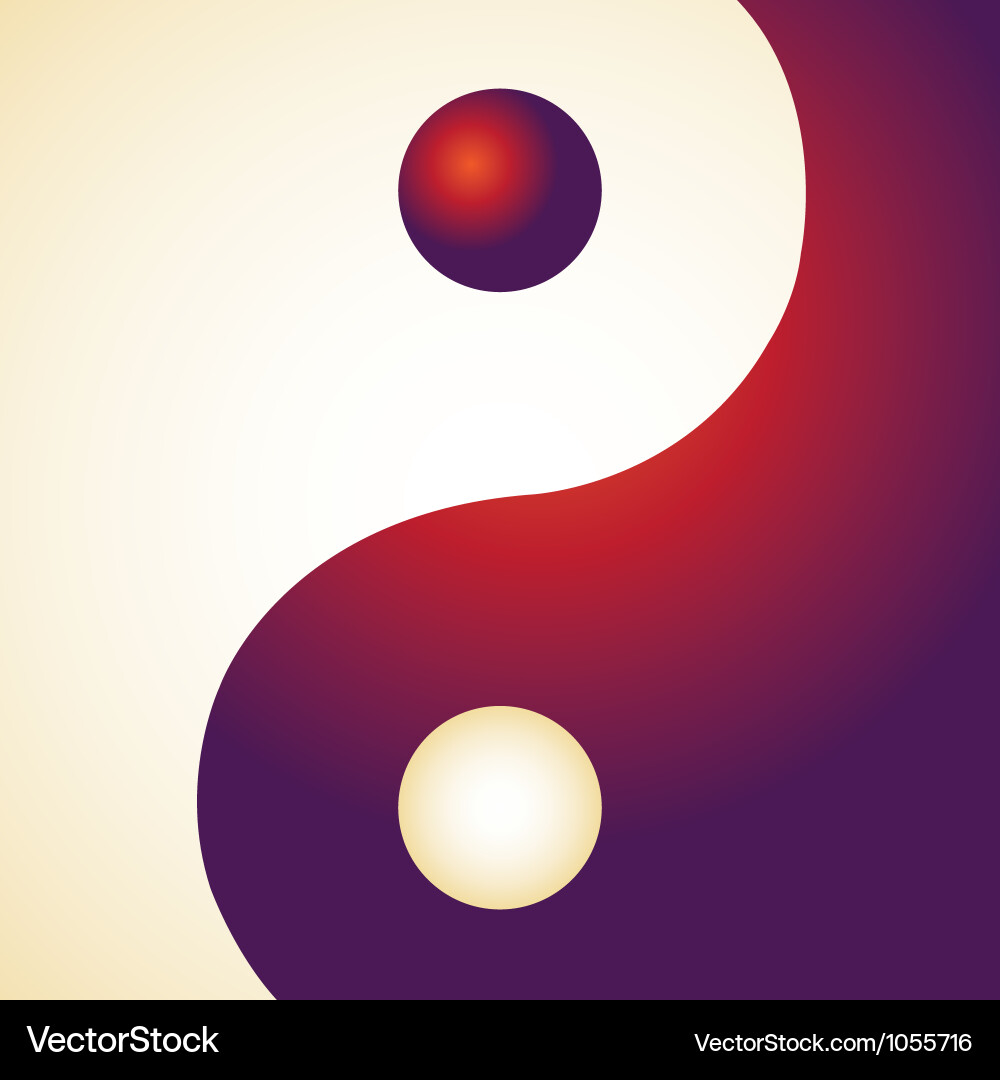 Ying yang patterns vector image