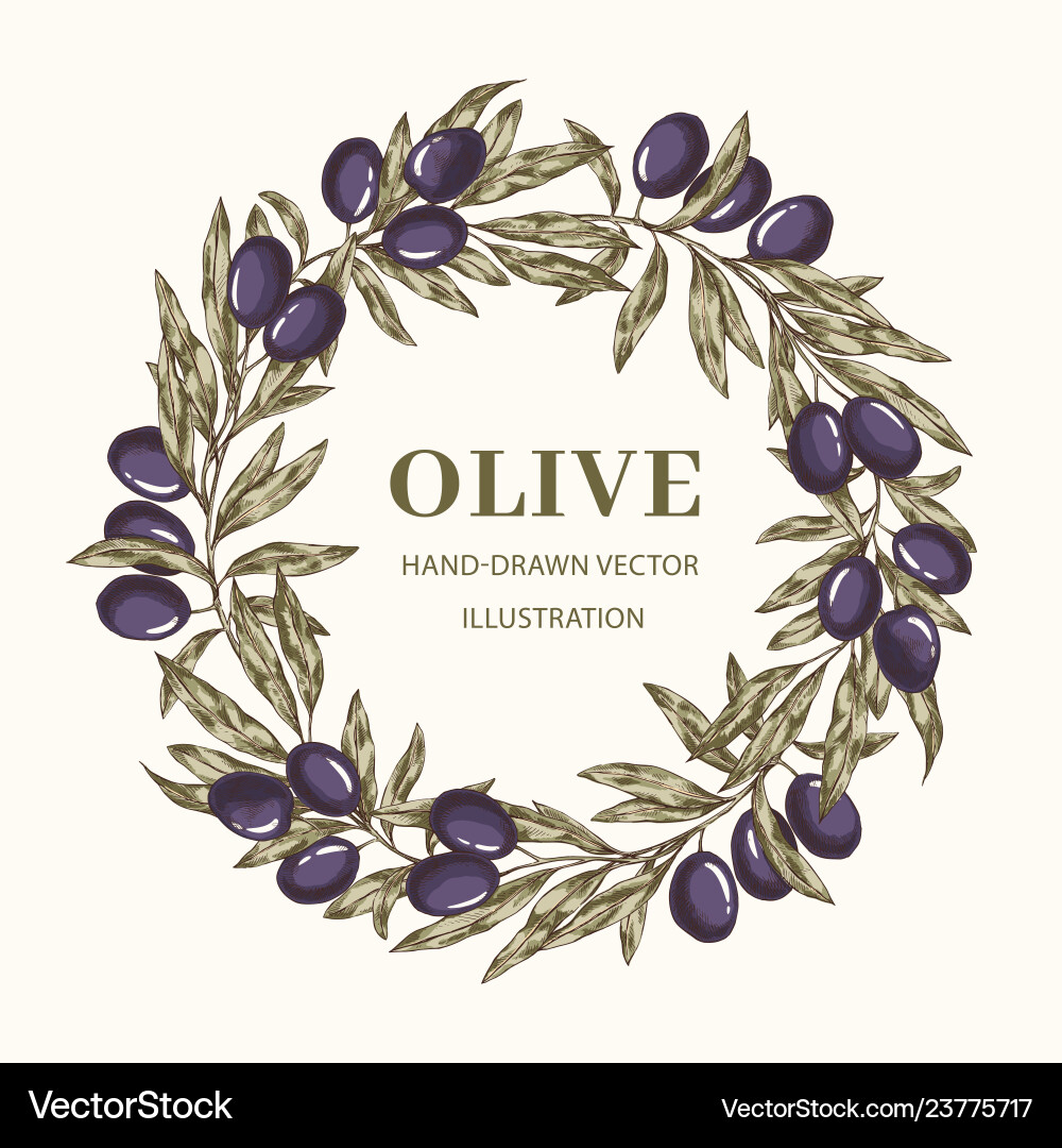 Olive Branch Wreath vector image