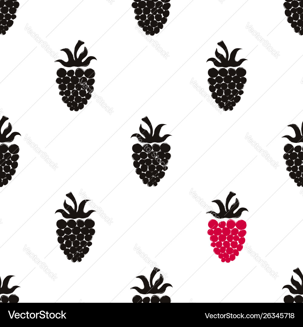 Blackberry & Raspberry Pattern vector image