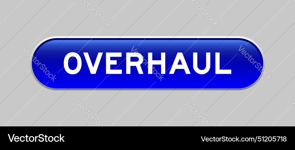Blue color capsule shape button with word Blue color capsule shape button with word vector image