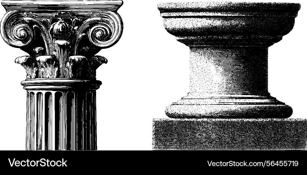 Classical ionic columns and capitals engraved Classical ionic columns and capitals engraved vector image