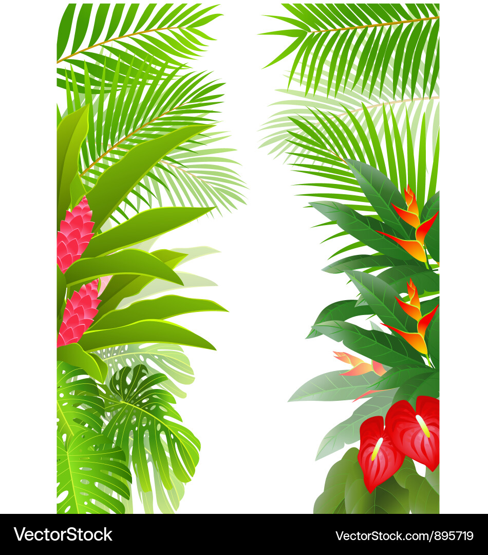 Tropical forest background Royalty Free Vector Image