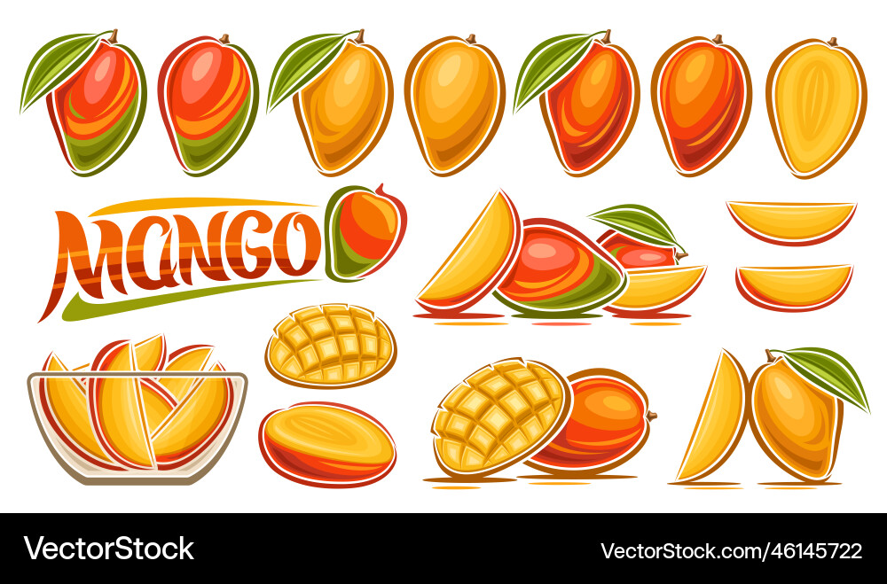 Mango set Mango set Vector Image