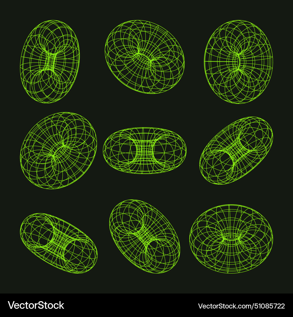 Wireframe shapes lined torus perspective mesh 3d Vector Image